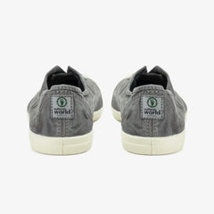 Monde Naturel Vieille Lavande