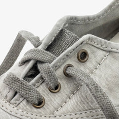 Monde Naturel Vieille Lavande