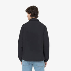 Allenatore Dickies Oakport