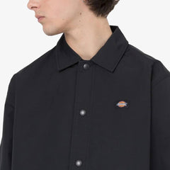 Allenatore Dickies Oakport