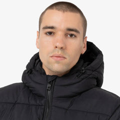 Dickies Waldenburg Sweat à capuche