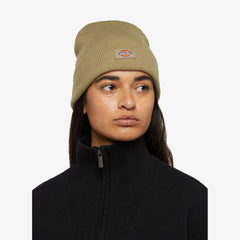Dickies Berretto Gibsland