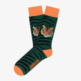 Jimmy Leone Testa di Tigre