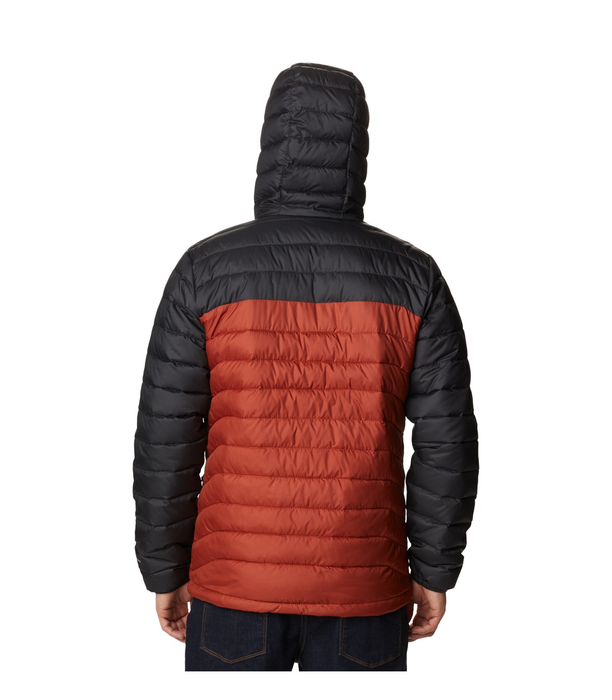 Columbia POWDER LITE™ JACKET - Chaqueta de invierno - black/negro 