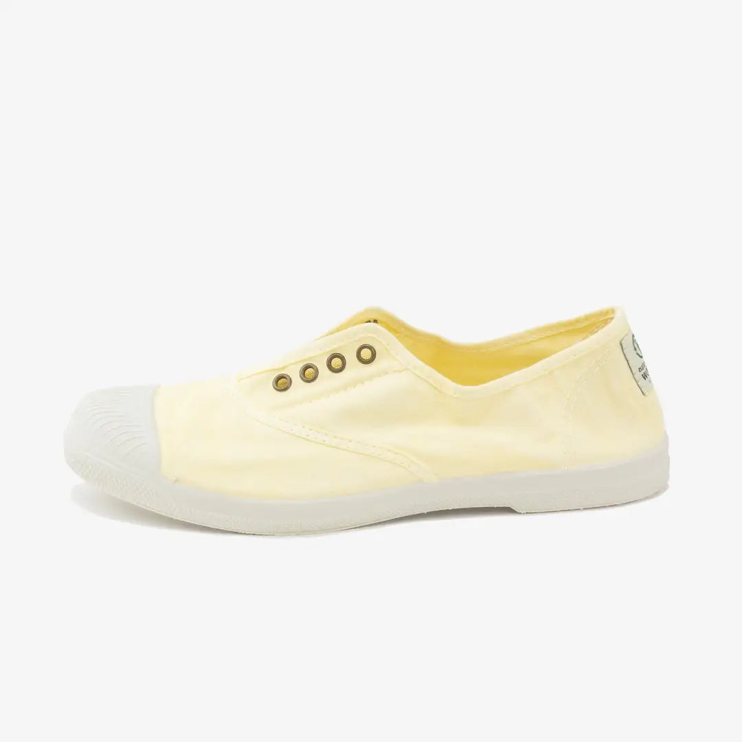 Monde Naturel Vieille Lavande