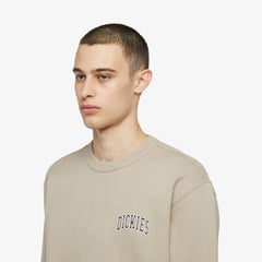 Dickies Aitkin Chest Sweatshirt