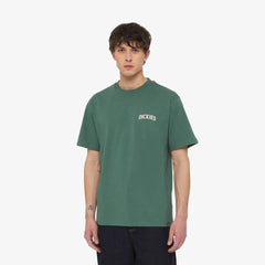 Dickies Elliston Tee Ss