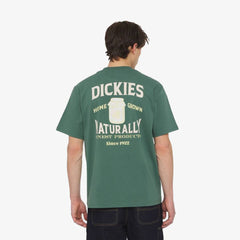 Dickies Elliston Tee Ss