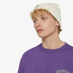 Dickies Gibsland Beanie