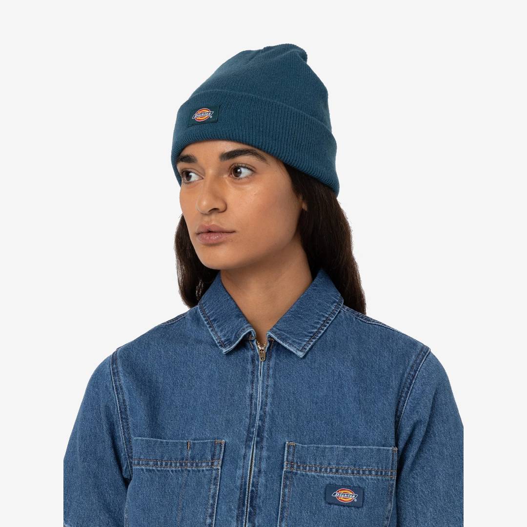 Dickies Gibsland Beanie