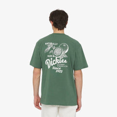 Dickies Raven Tee Ss