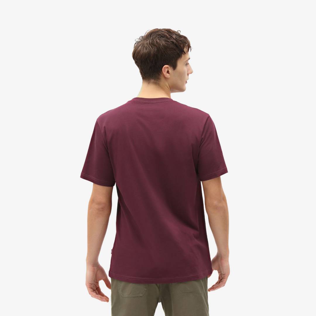 Dickies Ss Mapleton Tee