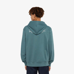 Dickies Dickies Globe Kapuzenpullover 