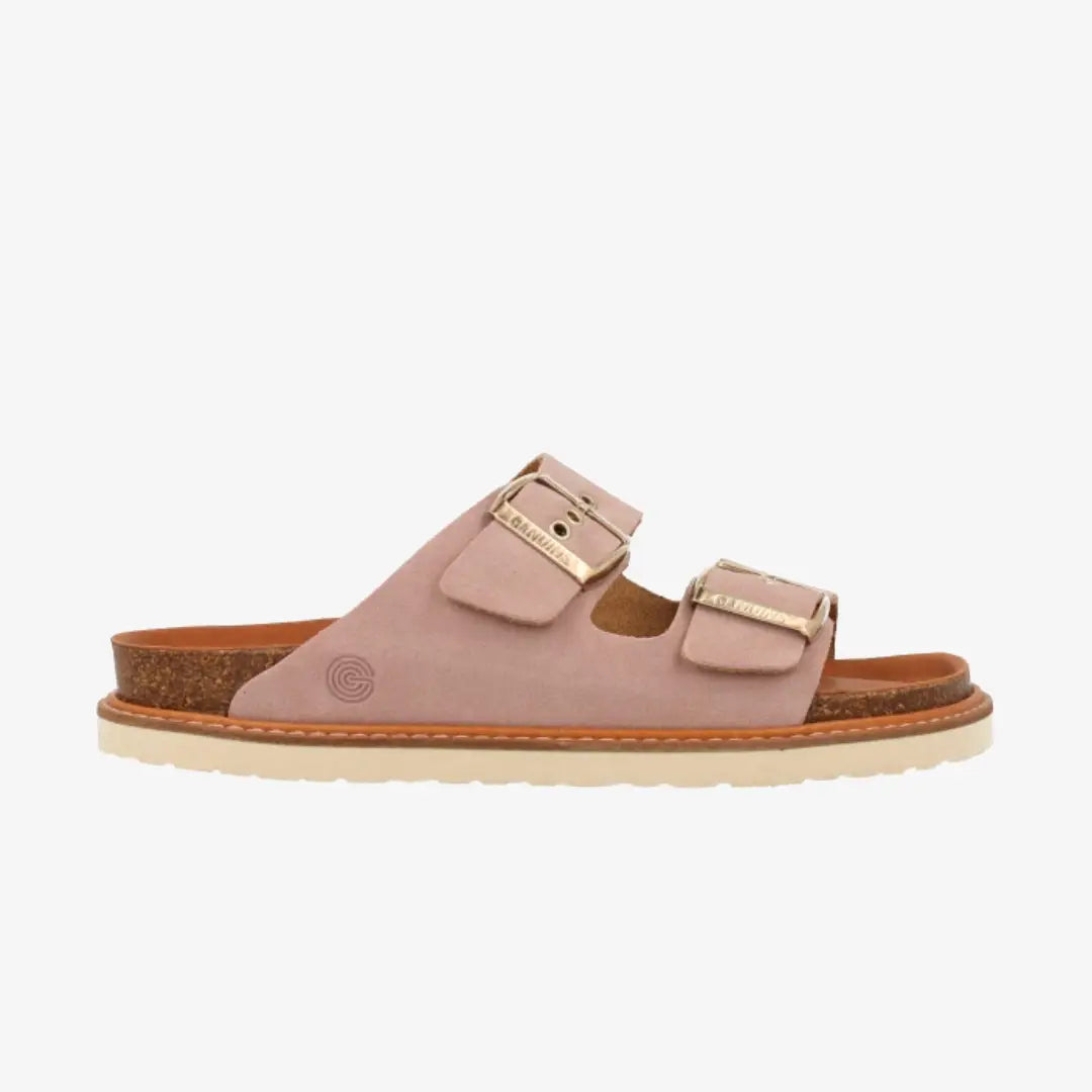 Echte Hawaii-Veloursrose
