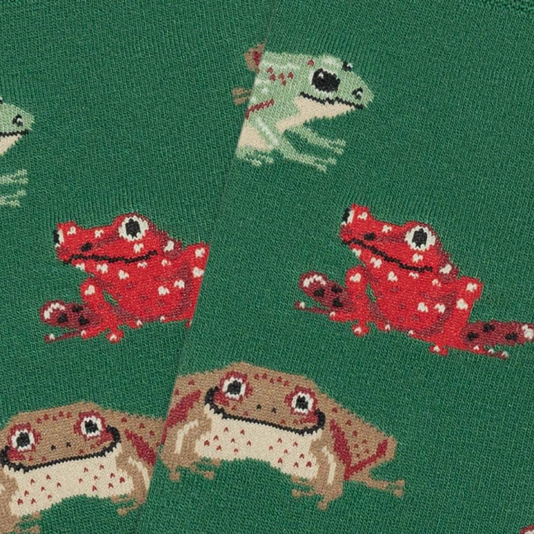 Jimmy Lion Frogs