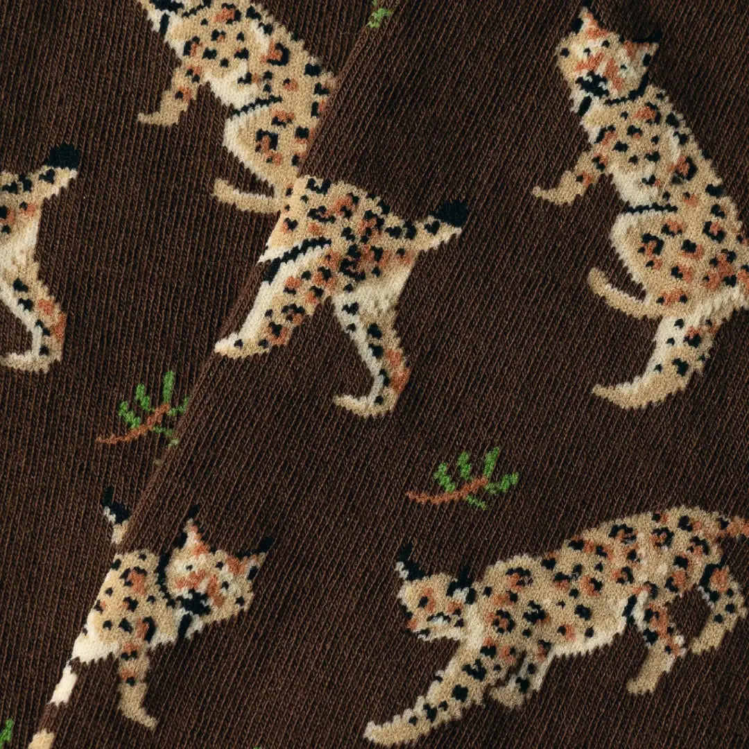 Jimmy Lion Lince