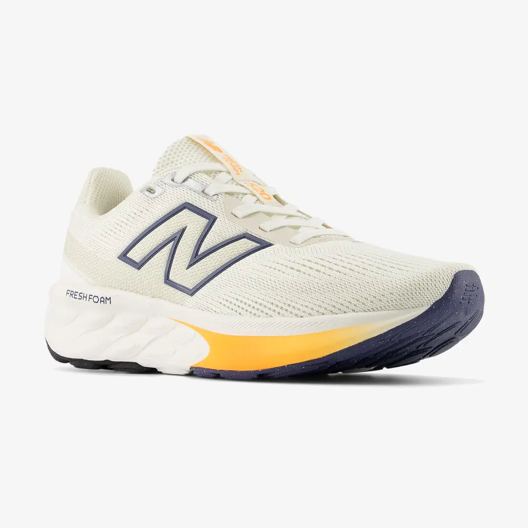 Nuove Balance Fresh Foam 520 V9