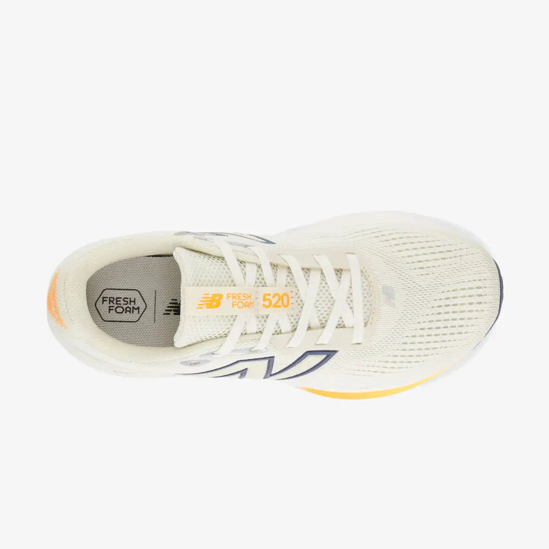 Nuove Balance Fresh Foam 520 V9